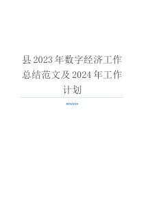 县2023年数字经济工作总结范文及2024年工作计划