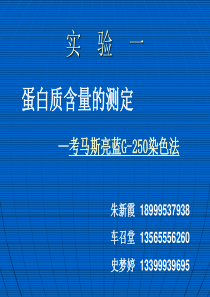 蛋白质含量测定-考马斯亮蓝染色法解析