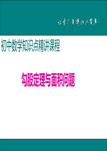 初中数学【8年级下】6.勾股定理与面积问题