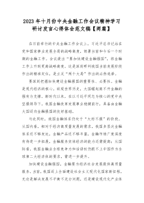 2023年十月份中央金融工作会议精神学习研讨发言心得体会范文稿【两篇】