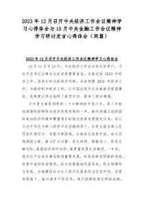 2023年12月召开中央经济工作会议精神学习心得体会与10月中央金融工作会议精神学习研讨发言心得