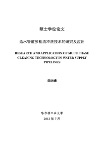 给水管道多相流冲洗技术的研究及应用