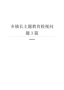 乡镇长主题教育检视问题3篇