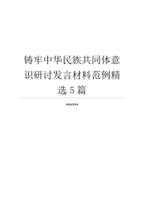 铸牢中华民族共同体意识研讨发言材料范例精选5篇