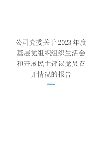 公司党委关于2023年度基层党组织组织生活会和开展民主评议党员召开情况的报告