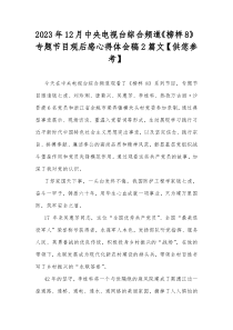 2023年12月中央电视台综合频道《榜样8》专题节目观后感心得体会稿2篇文【供您参考】