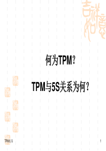 5S与TPM实务（PPT99页)