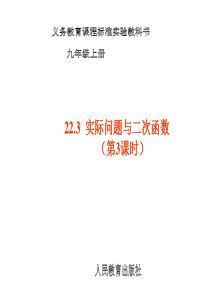 初中数学【9年级上】21.3 实际问题与二元一次方程 第3课时