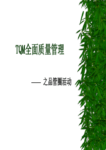 TQM全面质量管理22181556