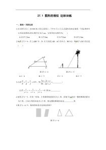 初中数学【9年级下】【推荐】27.1 图形的相似-同步练习（3）B