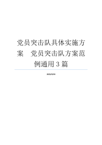 党员突击队具体实施方案  党员突击队方案范例通用3篇