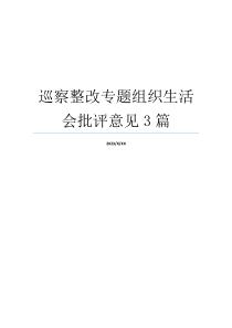 巡察整改专题组织生活会批评意见3篇