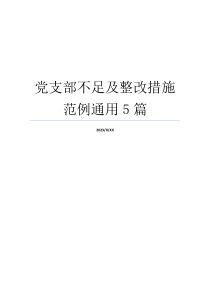 党支部不足及整改措施范例通用5篇