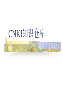 CNKI知识仓库