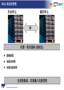 HU’s和仓库管理(1)