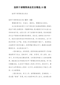 挂职干部精简表态发言精选10篇