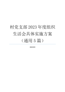 村党支部2023年度组织生活会具体实施方案（通用5篇）