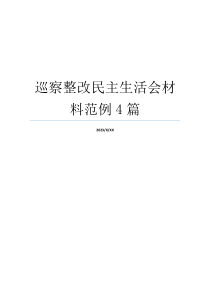 巡察整改民主生活会材料范例4篇