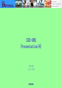 SXX-OHSPresentation2013仓库安全管理