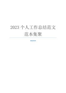 2023个人工作总结范文范本集聚