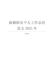 新颖职员个人工作总结范文2023年