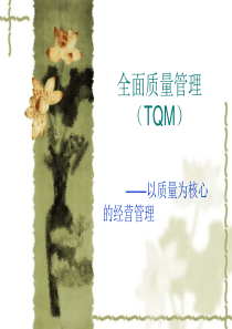 全面质量管理TQM[1].2