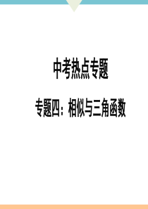 初中数学【9年级下】专题4：相似与三角函数