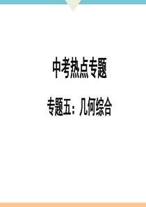 初中数学【9年级下】专题5：几何综合