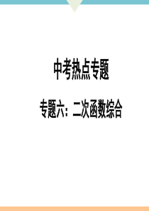 初中数学【9年级下】专题6：二次函数综合