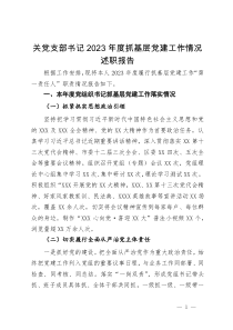 关党支部书记2023年度抓基层党建工作情况述职报告