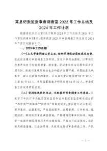 某县纪委监委审查调查室2023年工作总结及2024年工作计划