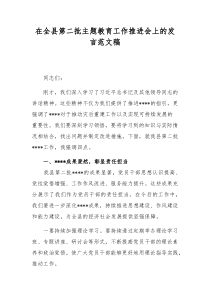 在全县第二批主题教育工作推进会上的发言范文稿