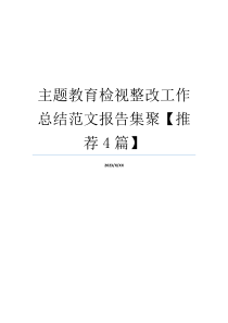 主题教育检视整改工作总结范文报告集聚【推荐4篇】