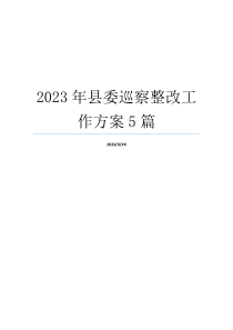 2023年县委巡察整改工作方案5篇