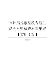 审计局巡察整改专题生活会对照检查材料集聚【实用4篇】