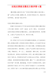 巡视反馈意见整改方案详情4篇