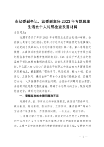 市纪委副书记、监委副主任2023年主题教育暨教育整顿专题民主生活会个人对照检查发言材料