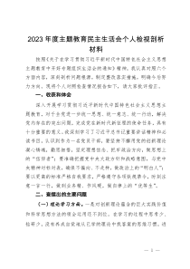 2023年度主题教育民主生活会个人检视剖析材料