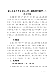 第二批学习贯彻2023年主题教育专题民主生活会方案