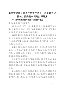 某县党政班子成员在民主生活会上对县委书记、县长、县委副书记的批评意见