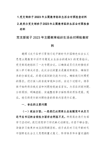 党支部班子2023年主题教育组织生活会对照检查材料范文2篇