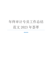 年终审计专员工作总结范文2023年荟萃