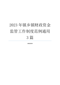 2023年镇乡镇财政资金监管工作制度范例通用3篇