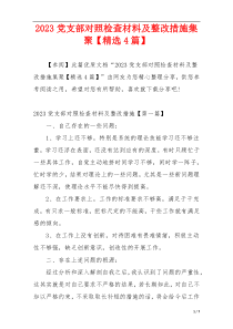 2023党支部对照检查材料及整改措施集聚【精选4篇】