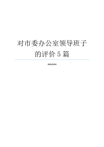 对市委办公室领导班子的评价5篇