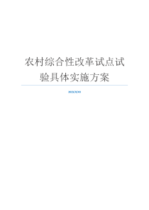 农村综合性改革试点试验具体实施方案