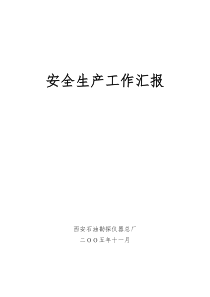 05年度 西仪总厂安全生产工作汇报材料(正式)