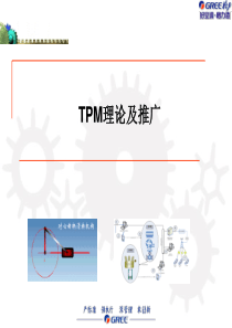 TPM理论及推广