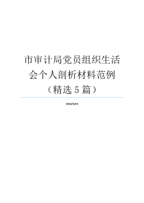 市审计局党员组织生活会个人剖析材料范例（精选5篇）