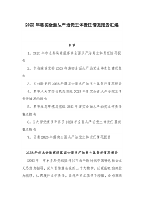 2023年落实全面从严治党主体责任情况报告汇编